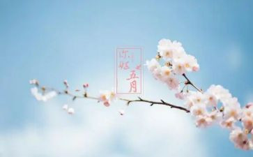 大班五月份工作计划通用6篇