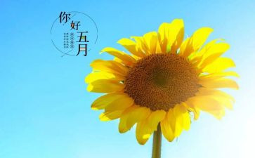 幼儿园五月工作总结范文5篇
