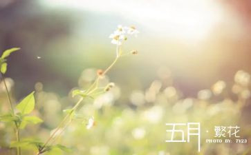 中班第五月份工作总结8篇