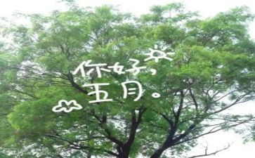 个人五月份工作总结6篇