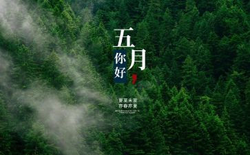 五月主题活动方案5篇