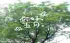小班五月份月工作总结6篇