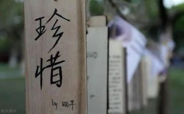 珍惜水资源800作文优质6篇