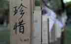 珍惜青春励志的演讲稿8篇
