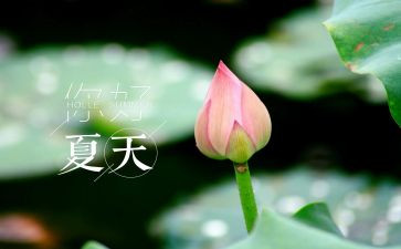 夏天的风作文参考8篇