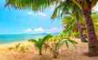 夏夜写景作文5篇
