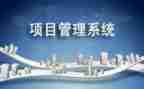项目年工作总结优质6篇