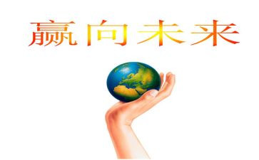 笨向未来的心得体会最新5篇