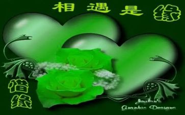 相遇的作文精选5篇