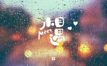 我与...相遇作文8篇