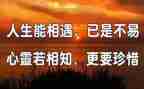 相遇的作文优质7篇
