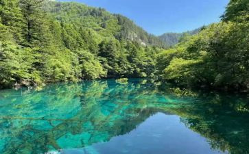 藤先生读后感模板5篇