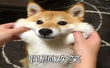 幸福的笑作文600字通用7篇