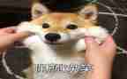 幸福的笑作文600字通用7篇