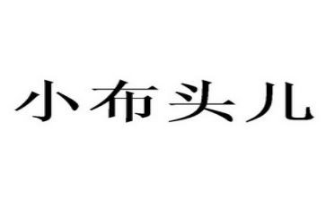 小布头奇遇记读后感500字7篇