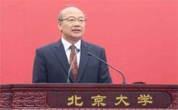 校长们的年终总结7篇