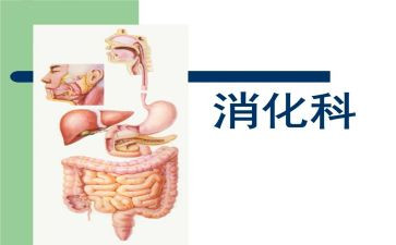 蒙医消化科工作计划7篇