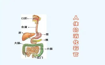 消化内科的工作计划8篇