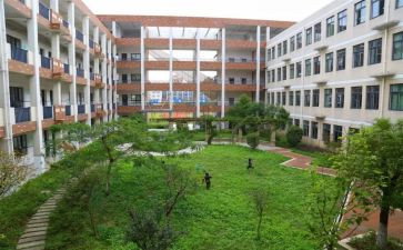学校内部审计工作总结5篇