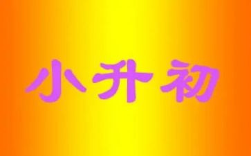 军训心得小升初500字8篇