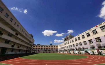 学校校务处工作总结5篇