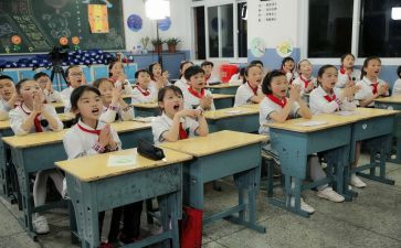 小学生做的调查报告最新5篇