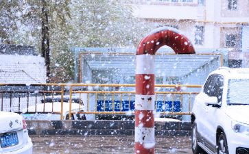 初中下雪的作文7篇