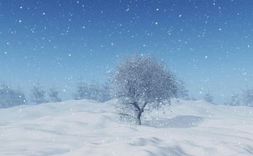 下雪天安全教育教案优质6篇