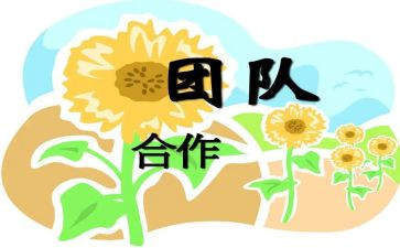团队协作的心得6篇