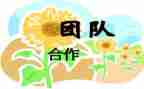 团队协作的心得6篇
