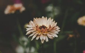 写喜欢的人作文优秀7篇