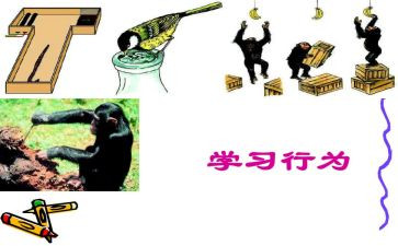 小学生行为规范讲话稿6篇