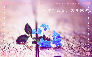心灵7游读后感模板7篇