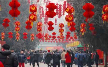 过新年作文700字8篇