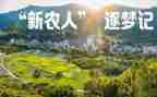 对新农村的调查报告范文6篇