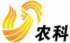 建设新农村调查报告6篇