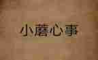 少年心事的作文7篇