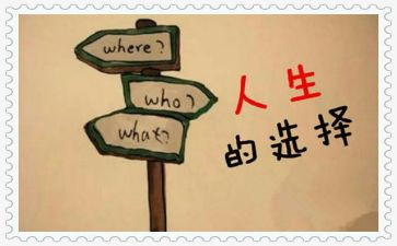 猫的选择读后感5篇