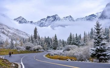 白雪公读后感5篇