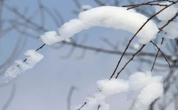 关于滑雪的作文7篇