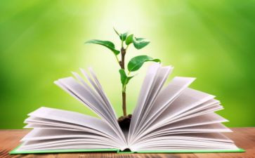 生物教与学工作总结参考5篇
