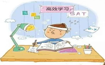 市学科带头人述职报告5篇