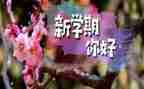 大学下学期工作计划8篇