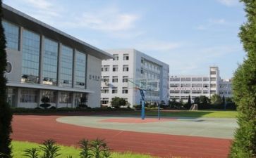 在学校军训的心得7篇