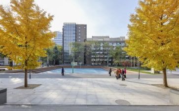 学校的合同7篇