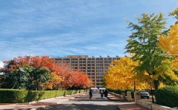 2023学校食堂工作总结7篇