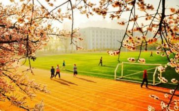 学校2024年工作总结报告优秀7篇