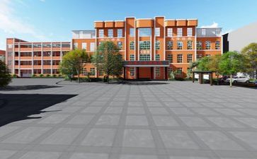 2024年学校述职报告最新6篇