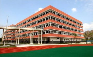 在学校的事作文800字5篇