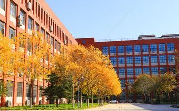 关于学校的调研报告7篇